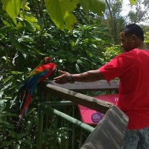 Meet your Posher, Alberto